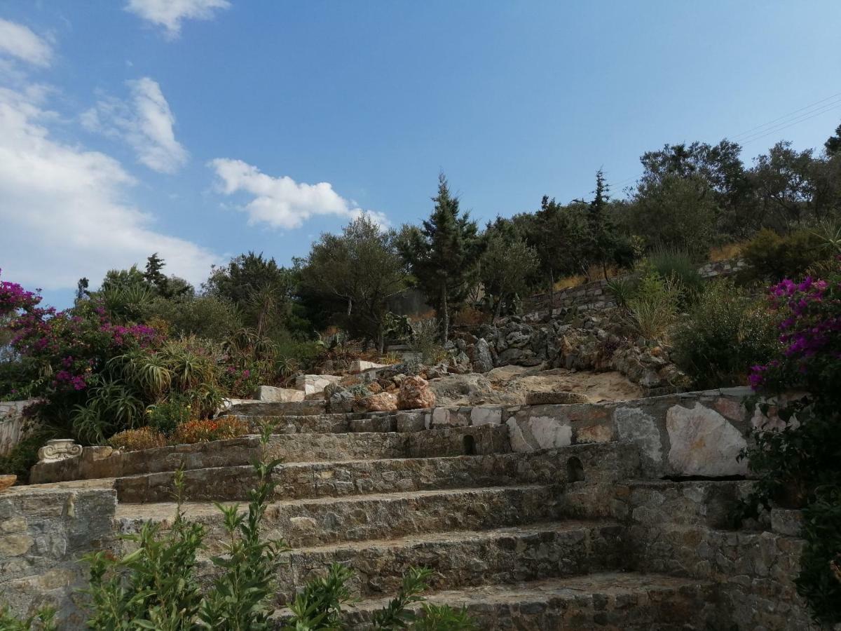 Artemis Villa Near Athens Airport Markópoulon Exteriér fotografie